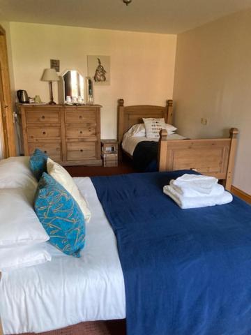 The George Inn & Millingbrook Lodge Ltd Lydney Eksteriør billede